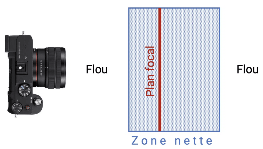 Profondeur de champ photo : plan focal net et flou d'arrière plan
