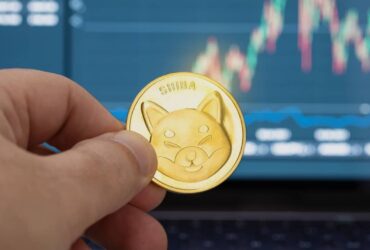 Shiba Inu : la crypto-monnaie promise à un bel avenir ?