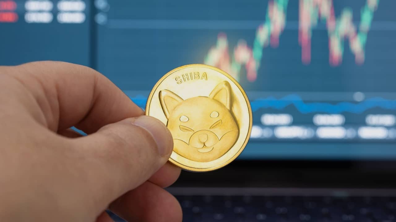 Shiba Inu : la crypto-monnaie promise à un bel avenir ?
