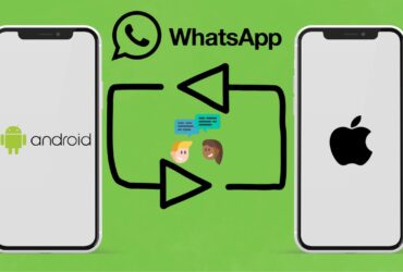 transfert-chat-whatsapp