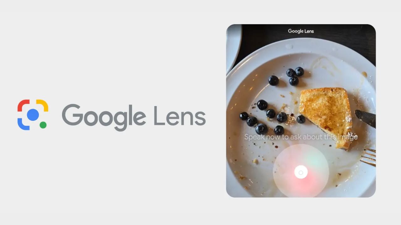 Google-Lens-Speak-Now-to-ask-about-this-image