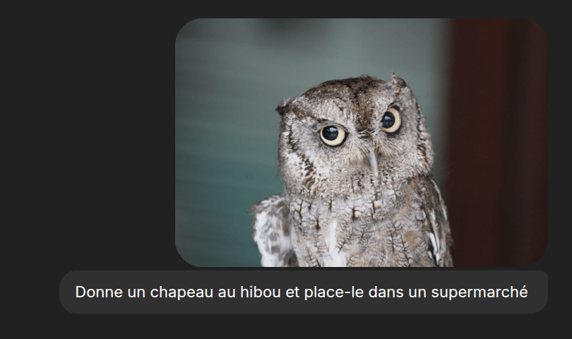 Photoshop modification