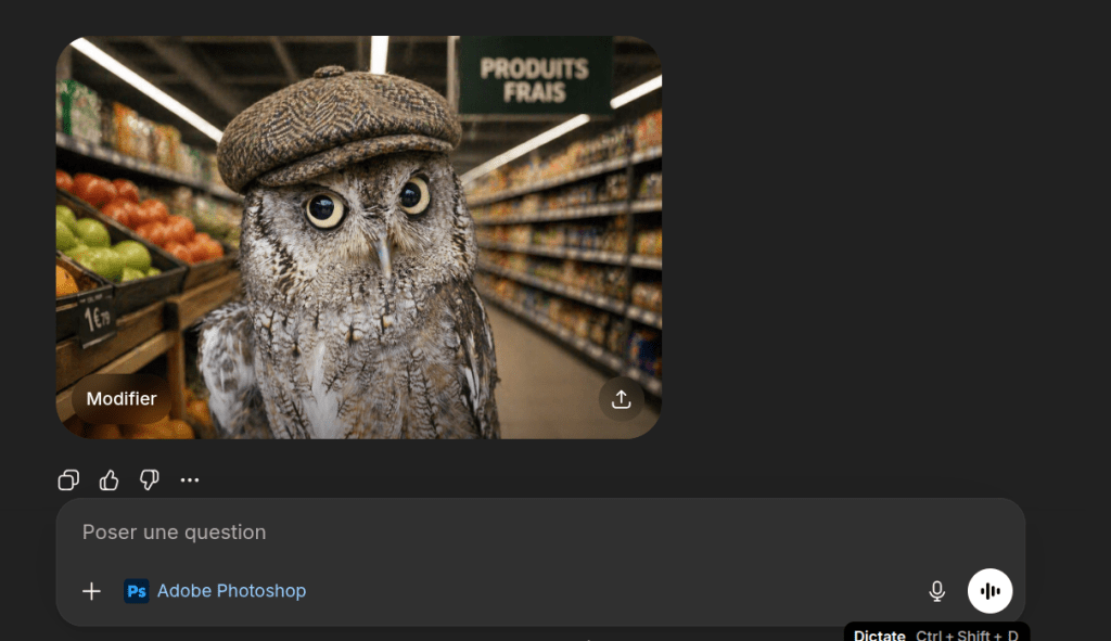 Retouche d'un Hibou