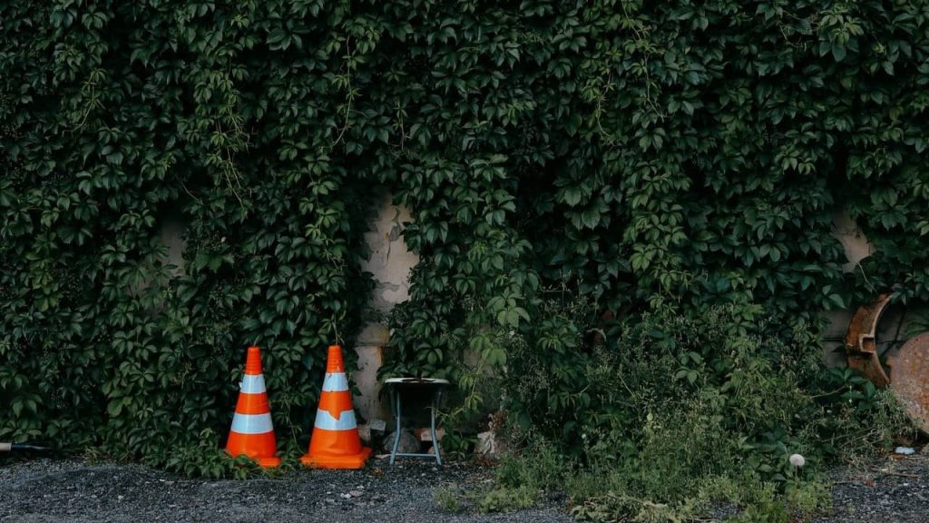 VLC Media Player (1)